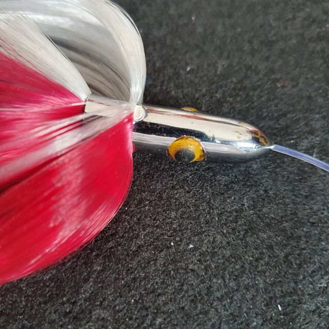 PLUMAS PESCA, CURRICAM,  ATÚN 