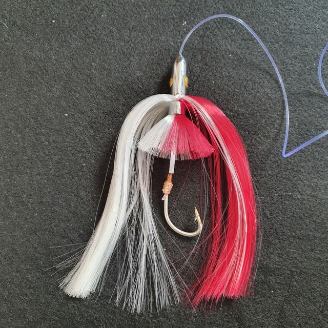 PLUMAS PESCA, CURRICAM,  ATÚN 