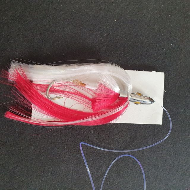 PLUMAS PESCA, CURRICAM,  ATÚN 