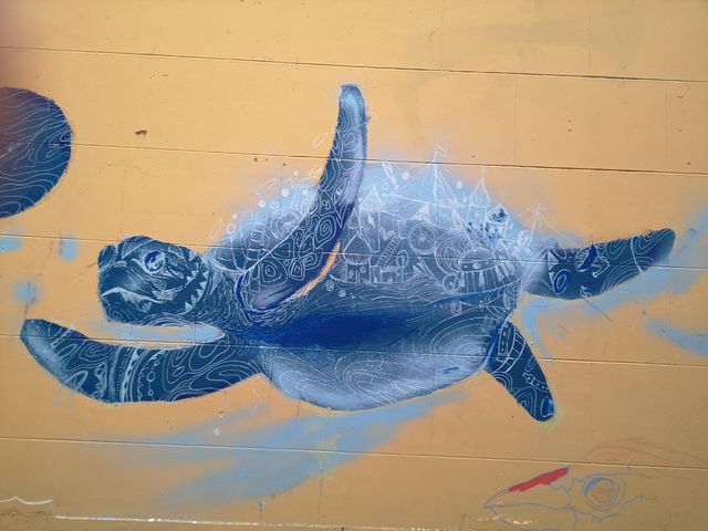 Artista, murales y graffiti