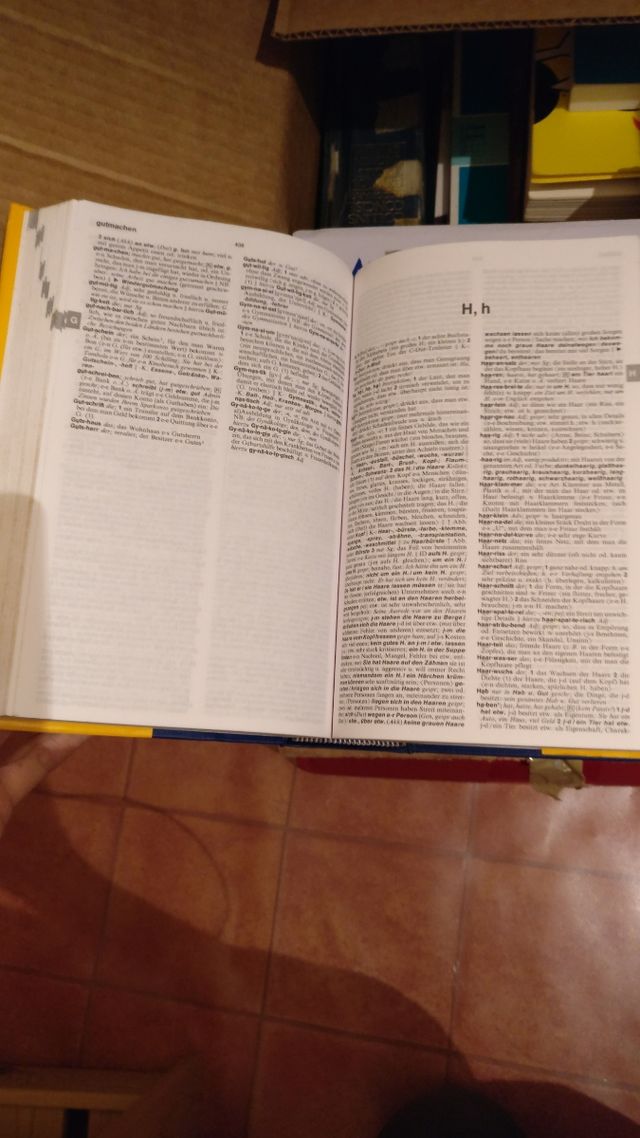 Diccionario didáctico alemán. Oceano.