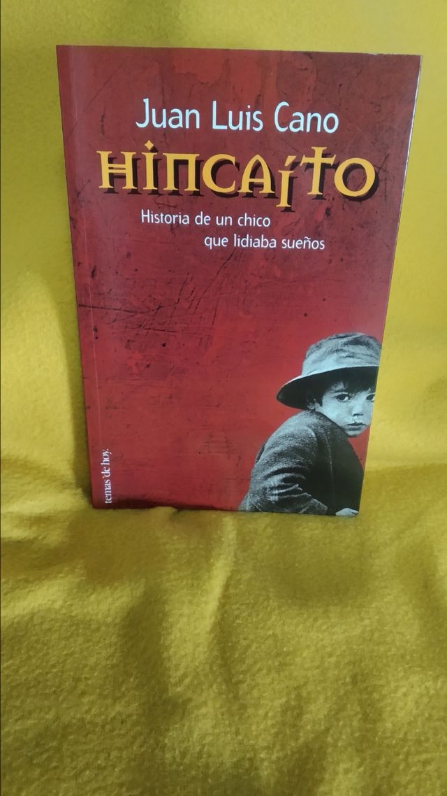 Libro: Hincaito