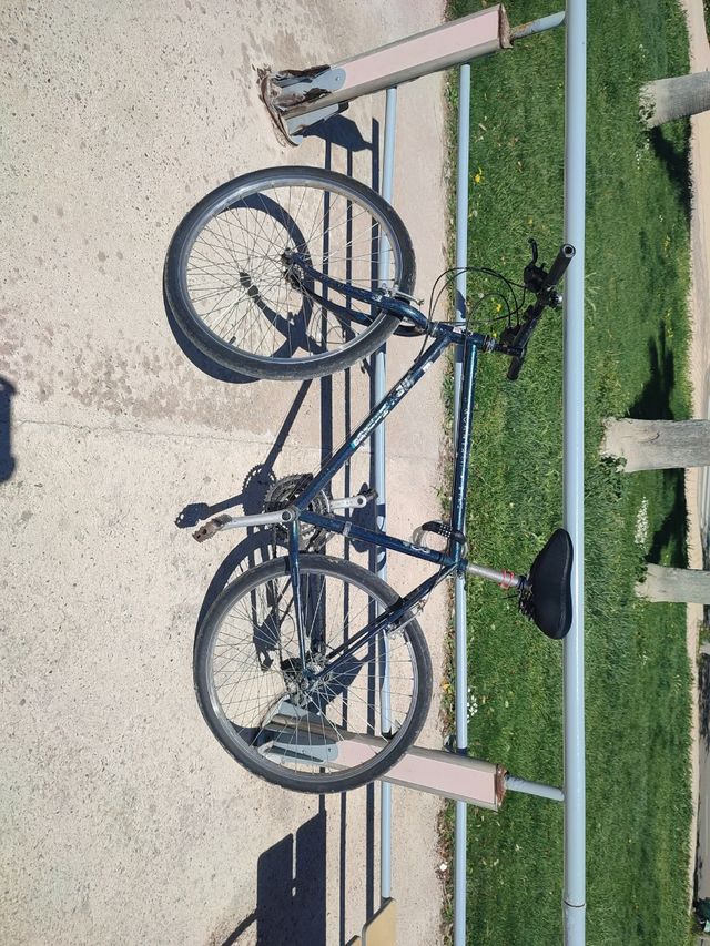 Mountain bike BH con ruote da strada