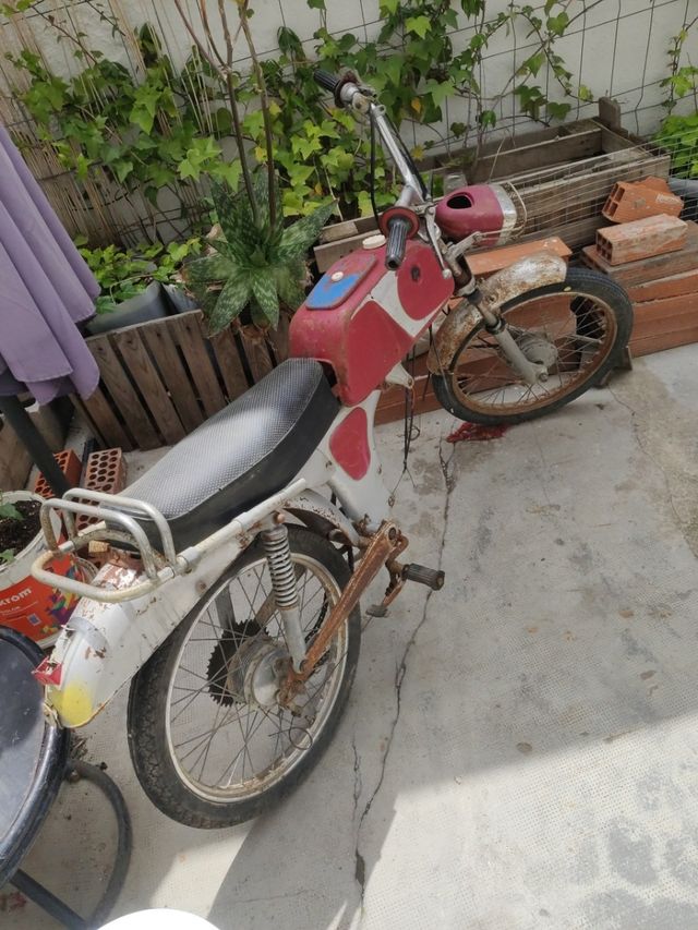 gimson 50cc despiece o decoración