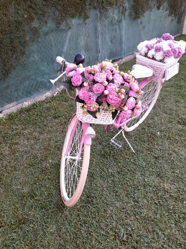 Bicicleta decoracion. Derbi Rabasa.