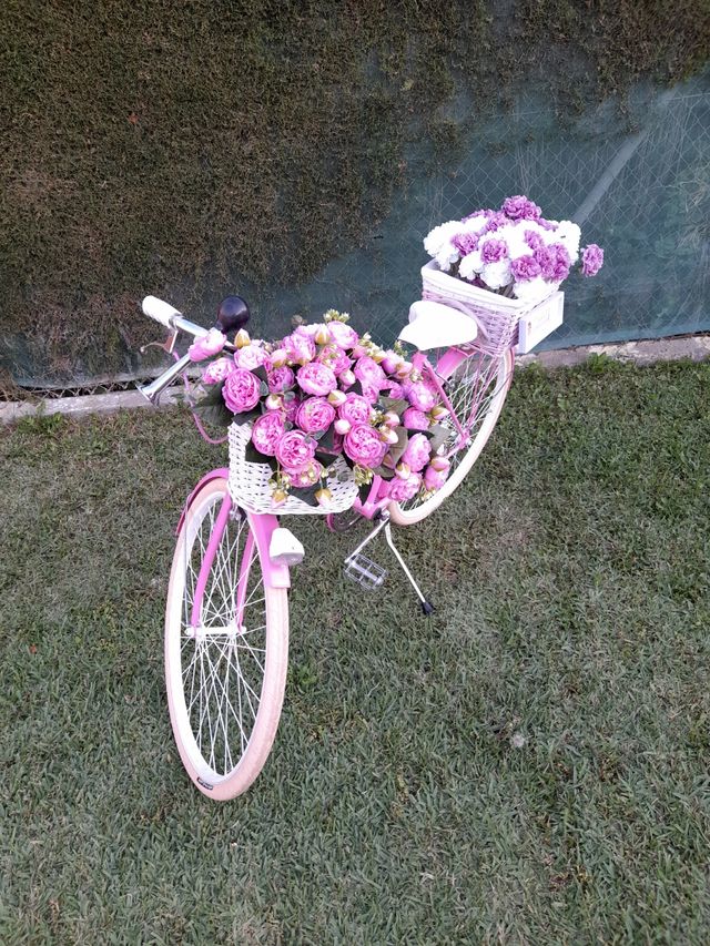 Bicicleta decoracion. Derbi Rabasa.