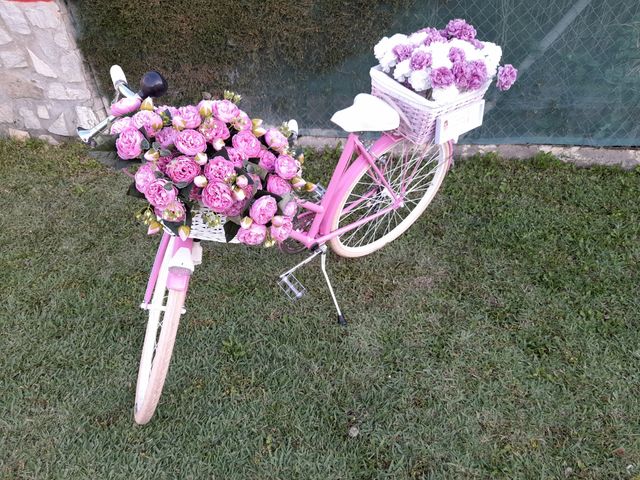 Bicicleta decoracion. Derbi Rabasa.