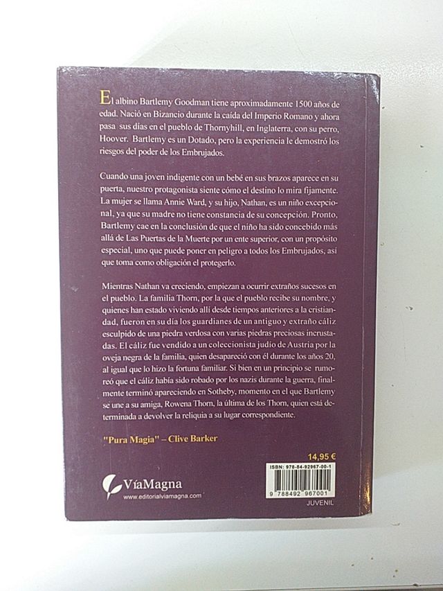 Libro La espada mágica.