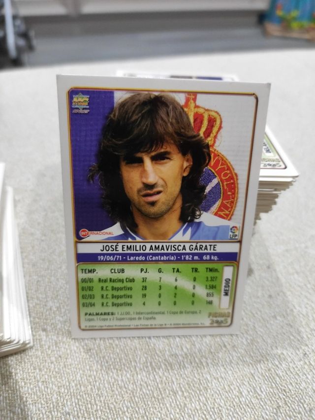 AMAVISCA ESPAÑOL 2005