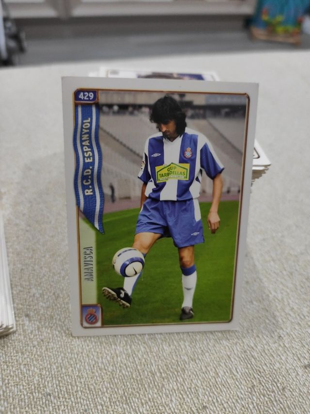 AMAVISCA ESPAÑOL 2005