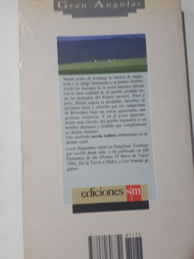 Cinco panes de cebada