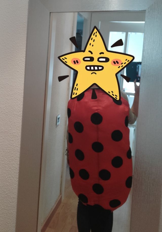 disfraz de mariquita con accesorios. carnaval