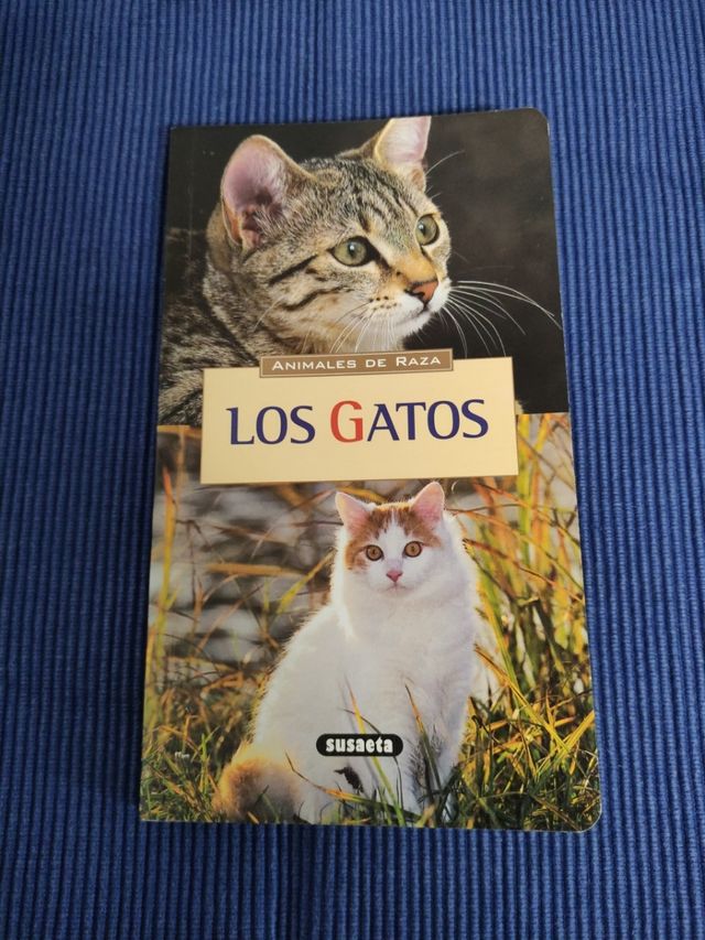 libros de gatos