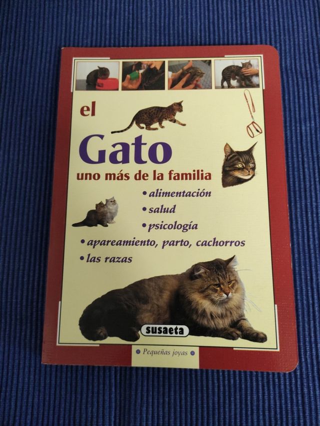 libros de gatos