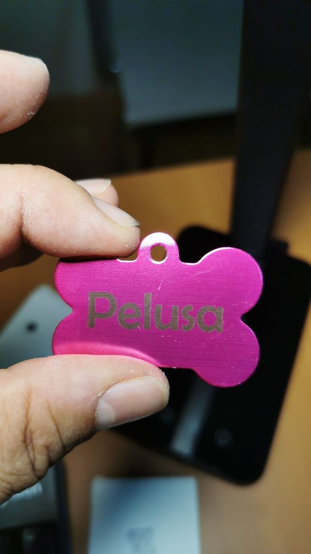 PERRO CHAPA IDENTIFICATIVA