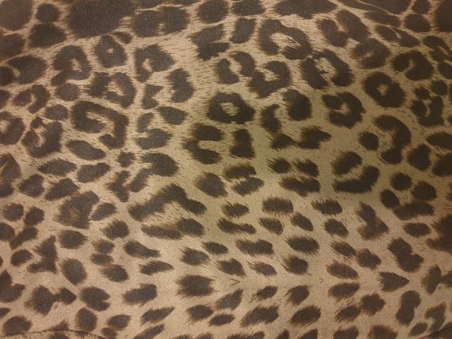 Minifalda de leopardo marrón.