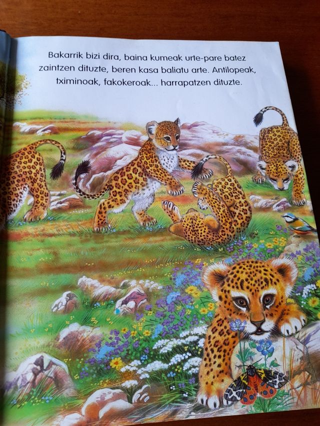 Libro Munduko Animaliak