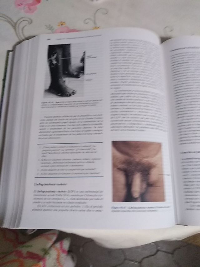 Libro Microbiología nuevo