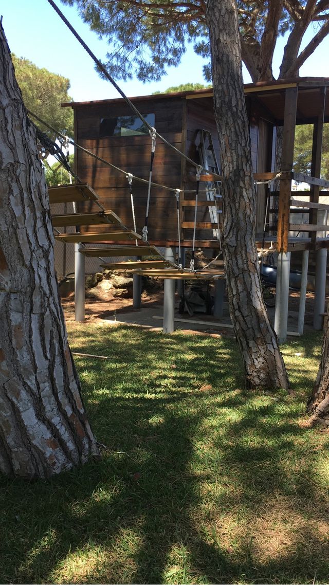Casas de madera