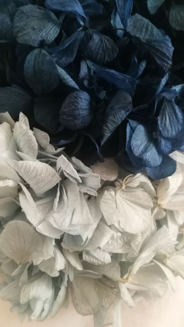 Broche flores preservadas naturales 