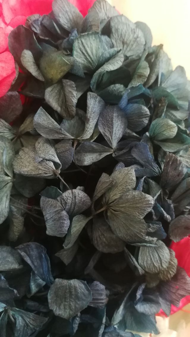 Broche flores preservadas naturales 