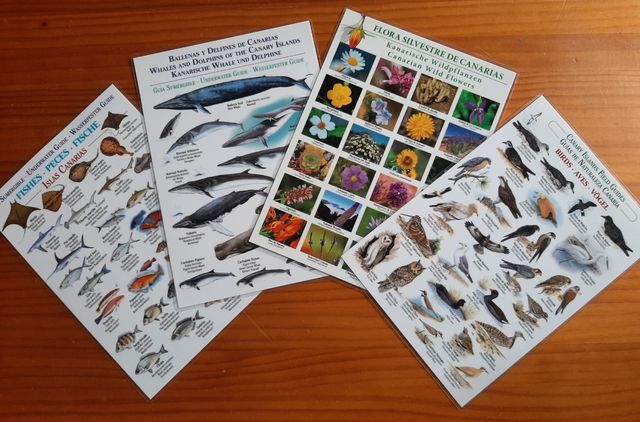 Láminas de flora y fauna de Canarias