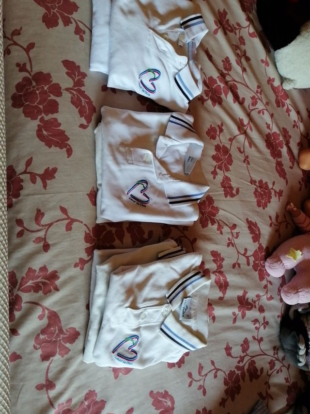 polos del colegio Amor de Dios.