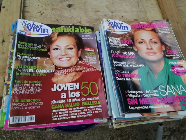 revistas