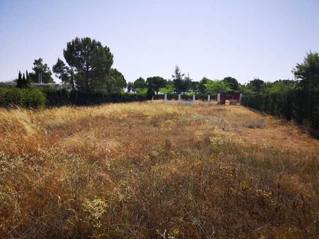 Terreno en venta "La Pulgosa"