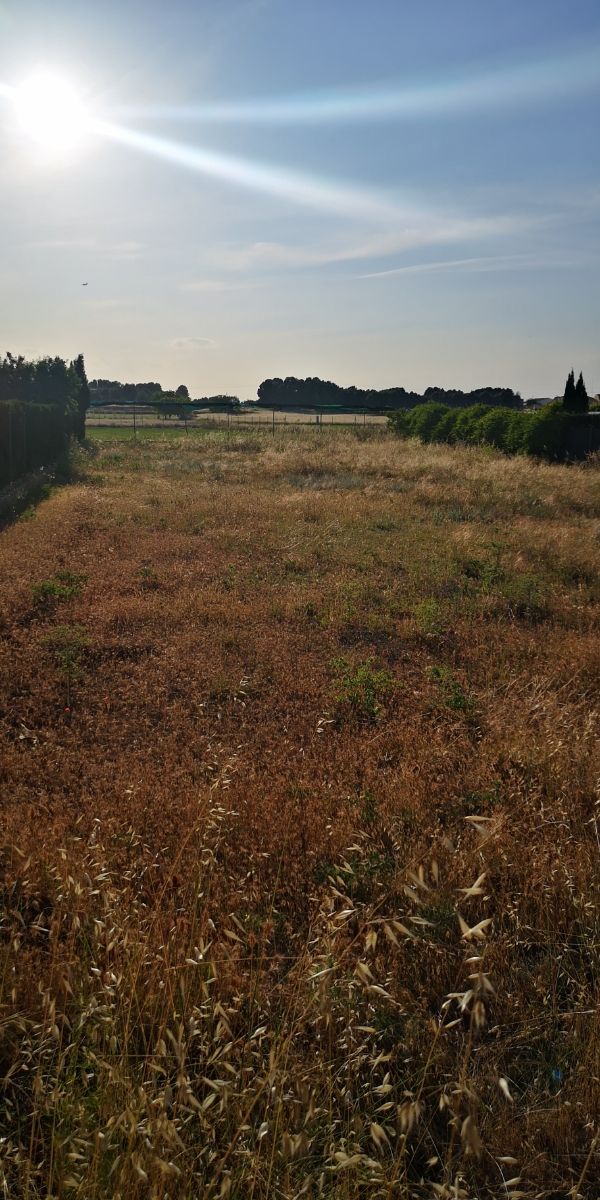 Terreno en venta "La Pulgosa"