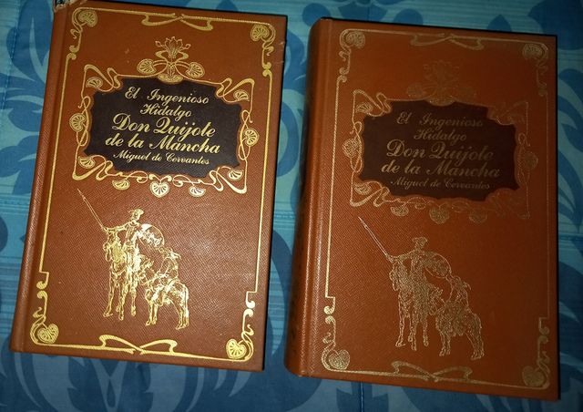 DON QUIJOTE DE LA MANCHA