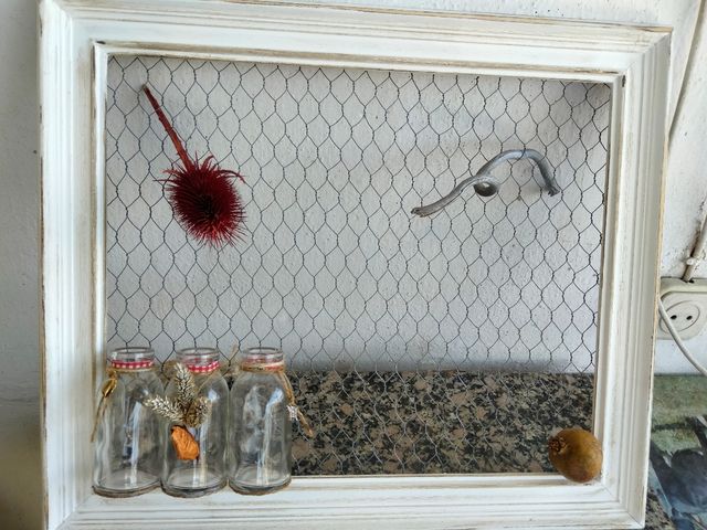 marco para fotos, plantas,bisutería...