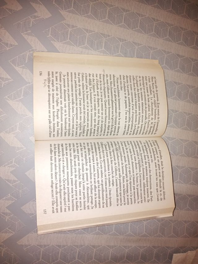 Pack 4 Libros de Lectura en Frances