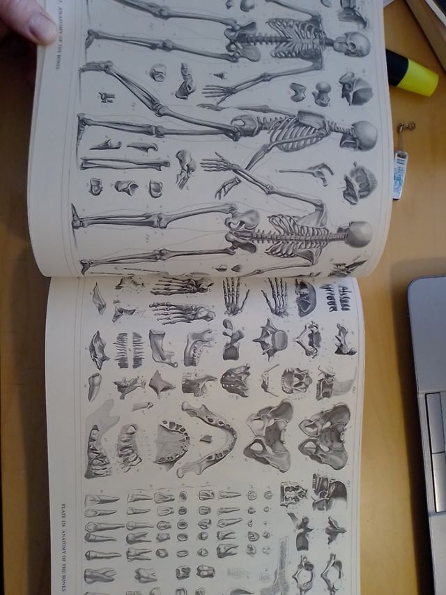 Enciclopedia delle illustrazioni