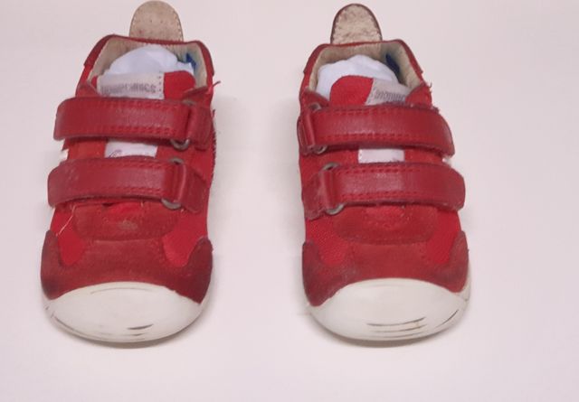 Biomecanics numero 19