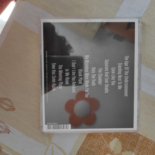 The Last Shadow Puppets