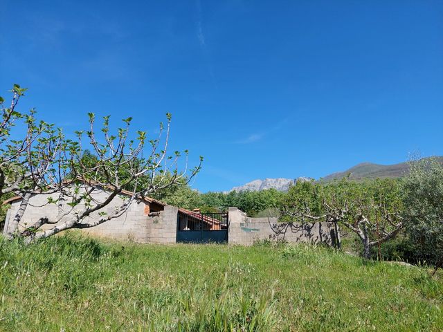 Terreno en venta