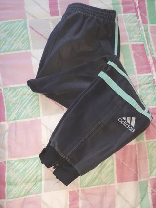 صفارة إنذار صاحب العمل مؤخرا chandal piel melocoton adidas - daydreema.com