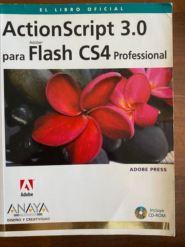 Libro informática (Colección Anaya)