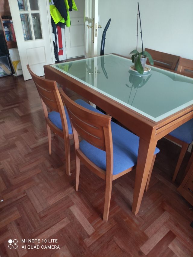 Mesa comedor y 8 sillas. de segunda mano por 220 € en Estartetxe en