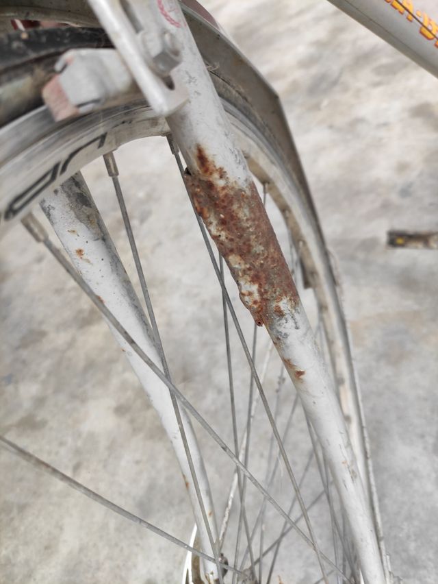 Bicis de Paseo BH,Orbea