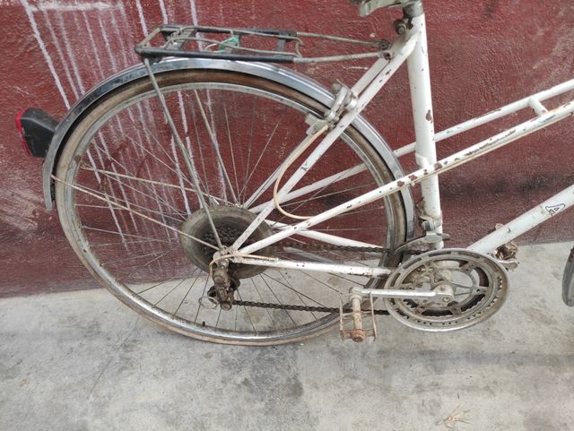 Bicis de Paseo BH,Orbea