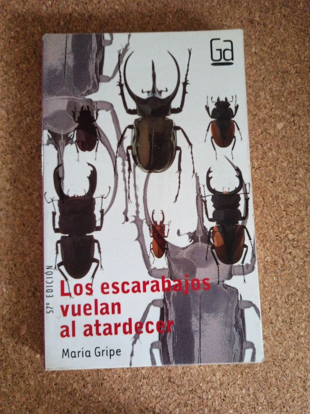 Los escarabajos vuelan al atardecer