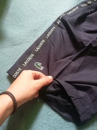 Conjunto lacoste sport corto de verano de segunda mano por 30 EUR en Santa  Coloma de Cervelló en WALLAPOP