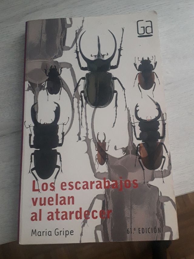 Los escarabajos vuelan al atardecer