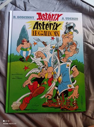 Asterix Le Gaulois De Segunda Mano Por 4 En Caceres En Wallapop