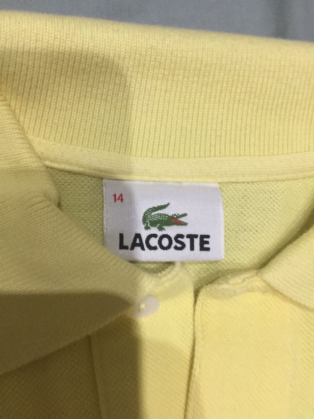 Polo Lacoste talla 14