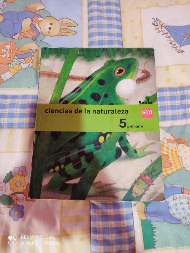 libro 5°primaria