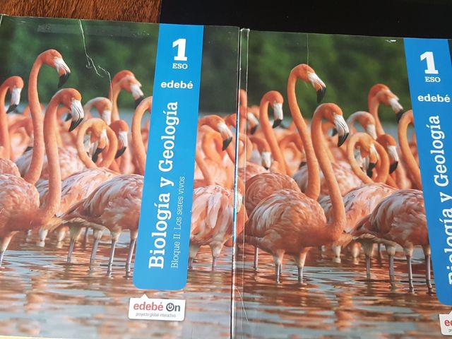 Biología y Geología 1 Eso Edit-Edebe