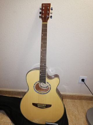 Guitarra acústica Rochester de segunda mano por 80 EUR en Castellbisbal en  WALLAPOP
